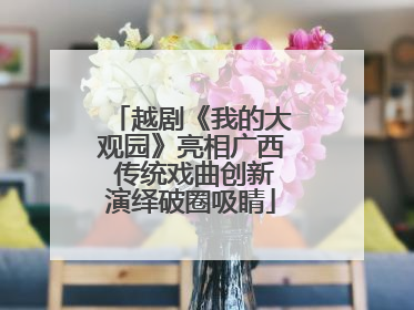越剧《我的大观园》亮相广西 传统戏曲创新演绎破圈吸睛
