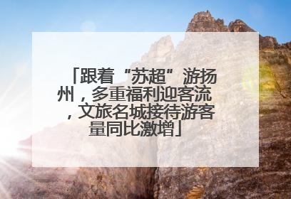 跟着“苏超”游扬州，多重福利迎客流，文旅名城接待游客量同比激增
