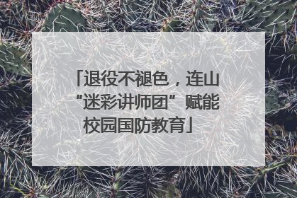 退役不褪色，连山“迷彩讲师团”赋能校园国防教育