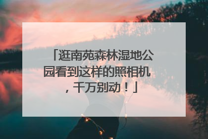 逛南苑森林湿地公园看到这样的照相机，千万别动！
