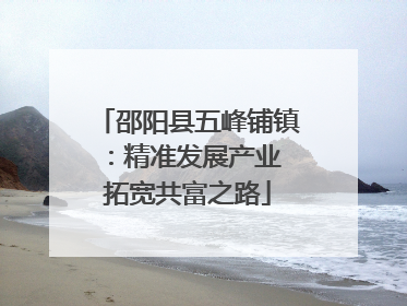 邵阳县五峰铺镇：精准发展产业 拓宽共富之路