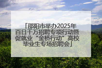 邵阳市举办2025年百日千万招聘专项行动暨促就业“金桥行动”高校毕业生专场招聘会