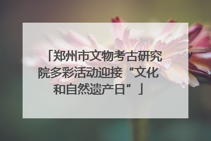 郑州市文物考古研究院多彩活动迎接“文化和自然遗产日”