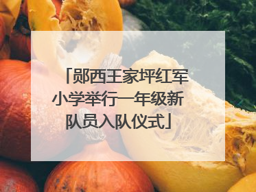 郧西王家坪红军小学举行一年级新队员入队仪式