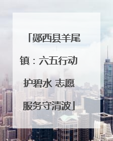 郧西县羊尾镇：六五行动护碧水 志愿服务守清波