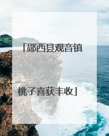 郧西县观音镇桃子喜获丰收