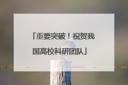 重要突破！祝贺我国高校科研团队