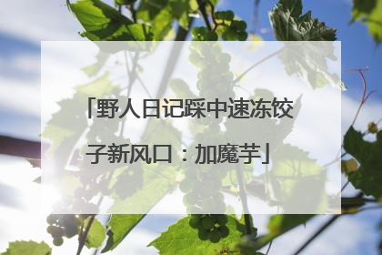野人日记踩中速冻饺子新风口：加魔芋