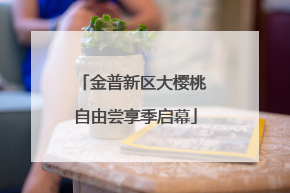 金普新区大樱桃自由尝享季启幕