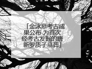 金泳墓考古成果公布 为首次经考古发掘的唐新罗质子墓葬