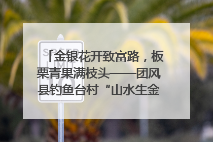 金银花开致富路，板栗青果满枝头——团风县钓鱼台村“山水生金”谱写共富新篇章