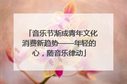 音乐节渐成青年文化消费新趋势——年轻的心,随音乐律动