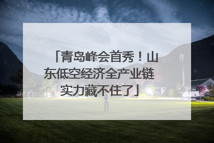 青岛峰会首秀！山东低空经济全产业链实力藏不住了