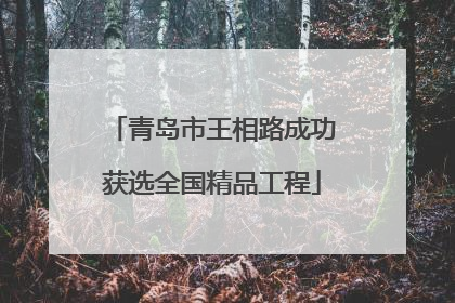 青岛市王相路成功获选全国精品工程