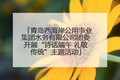 青岛西海岸公用事业集团水务有限公司团委开展“诗话端午 礼敬传统”主题活动