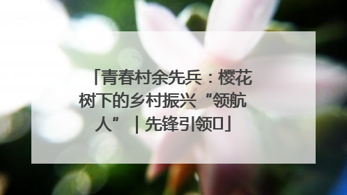 青春村余先兵：樱花树下的乡村振兴“领航人”｜先锋引领⑪