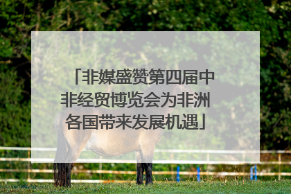 非媒盛赞第四届中非经贸博览会为非洲各国带来发展机遇