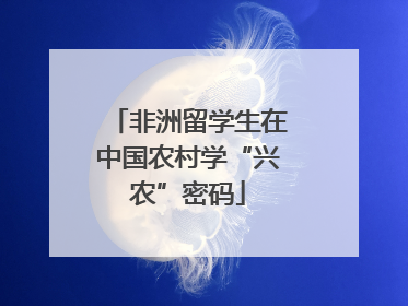 非洲留学生在中国农村学“兴农”密码
