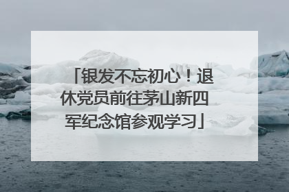 银发不忘初心！退休党员前往茅山新四军纪念馆参观学习