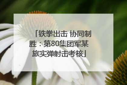 铁拳出击 协同制胜：第80集团军某旅实弹射击考核