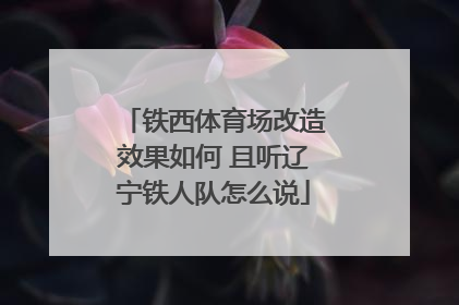 铁西体育场改造效果如何 且听辽宁铁人队怎么说