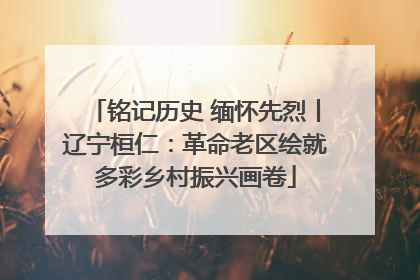 铭记历史 缅怀先烈丨辽宁桓仁：革命老区绘就多彩乡村振兴画卷