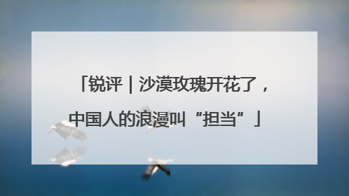 锐评｜沙漠玫瑰开花了，中国人的浪漫叫“担当”