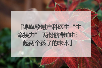 锦旗致谢产科医生“生命接力” 两份脐带血托起两个孩子的未来