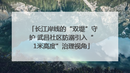 长江岸线的“双堤”守护 武昌社区防溺引入“1米高度”治理视角