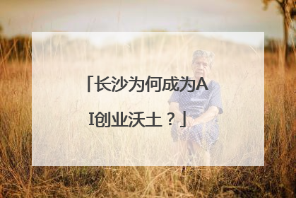 长沙为何成为AI创业沃土？