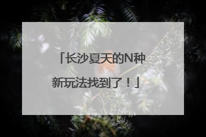 长沙夏天的N种新玩法找到了！