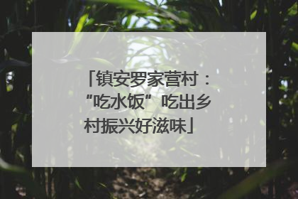 镇安罗家营村：“吃水饭”吃出乡村振兴好滋味