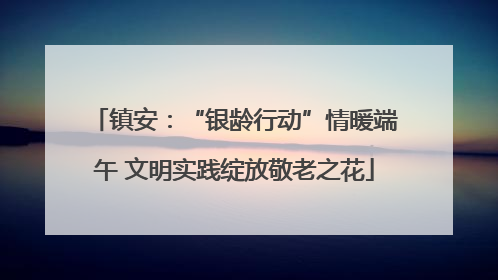 镇安：“银龄行动”情暖端午 文明实践绽放敬老之花