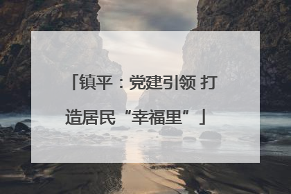 镇平：党建引领 打造居民“幸福里”