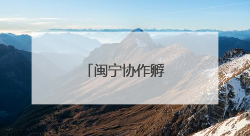 闽宁协作孵“金”蛋