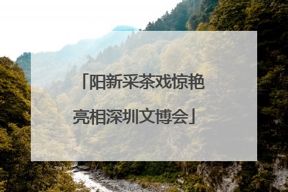 阳新采茶戏惊艳亮相深圳文博会