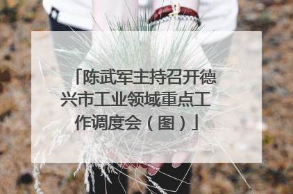陈武军主持召开德兴市工业领域重点工作调度会（图）