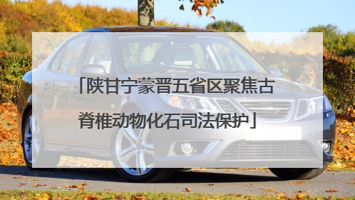 陕甘宁蒙晋五省区聚焦古脊椎动物化石司法保护
