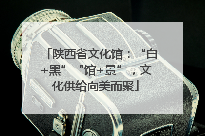 陕西省文化馆：“白+黑”“馆+景”，文化供给向美而聚