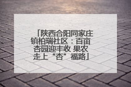 陕西合阳同家庄镇柏瑞社区：百亩杏园迎丰收 果农走上“杏”福路