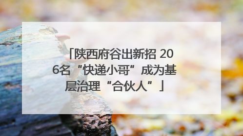 陕西府谷出新招 206名“快递小哥”成为基层治理“合伙人”
