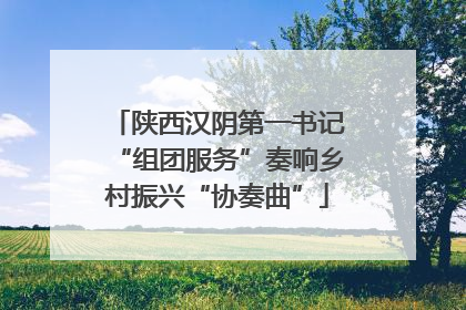 陕西汉阴第一书记“组团服务”奏响乡村振兴“协奏曲”