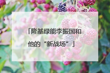 隆基绿能李振国和他的“新战场”