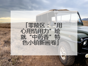 零陵区：“用心用情用力”绘就“中药香”特色小镇新画卷