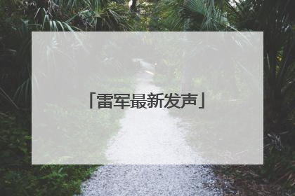 雷军最新发声