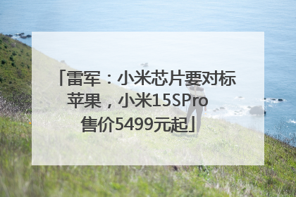雷军：小米芯片要对标苹果，小米15SPro售价5499元起