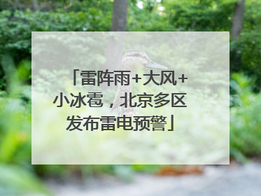 雷阵雨+大风+小冰雹，北京多区发布雷电预警