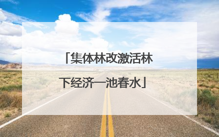 集体林改激活林下经济一池春水