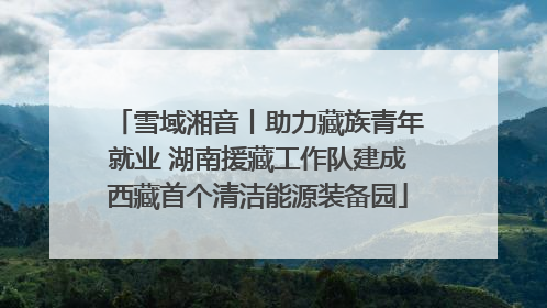 雪域湘音丨助力藏族青年就业 湖南援藏工作队建成西藏首个清洁能源装备园