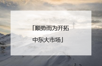 顺势而为开拓中东大市场